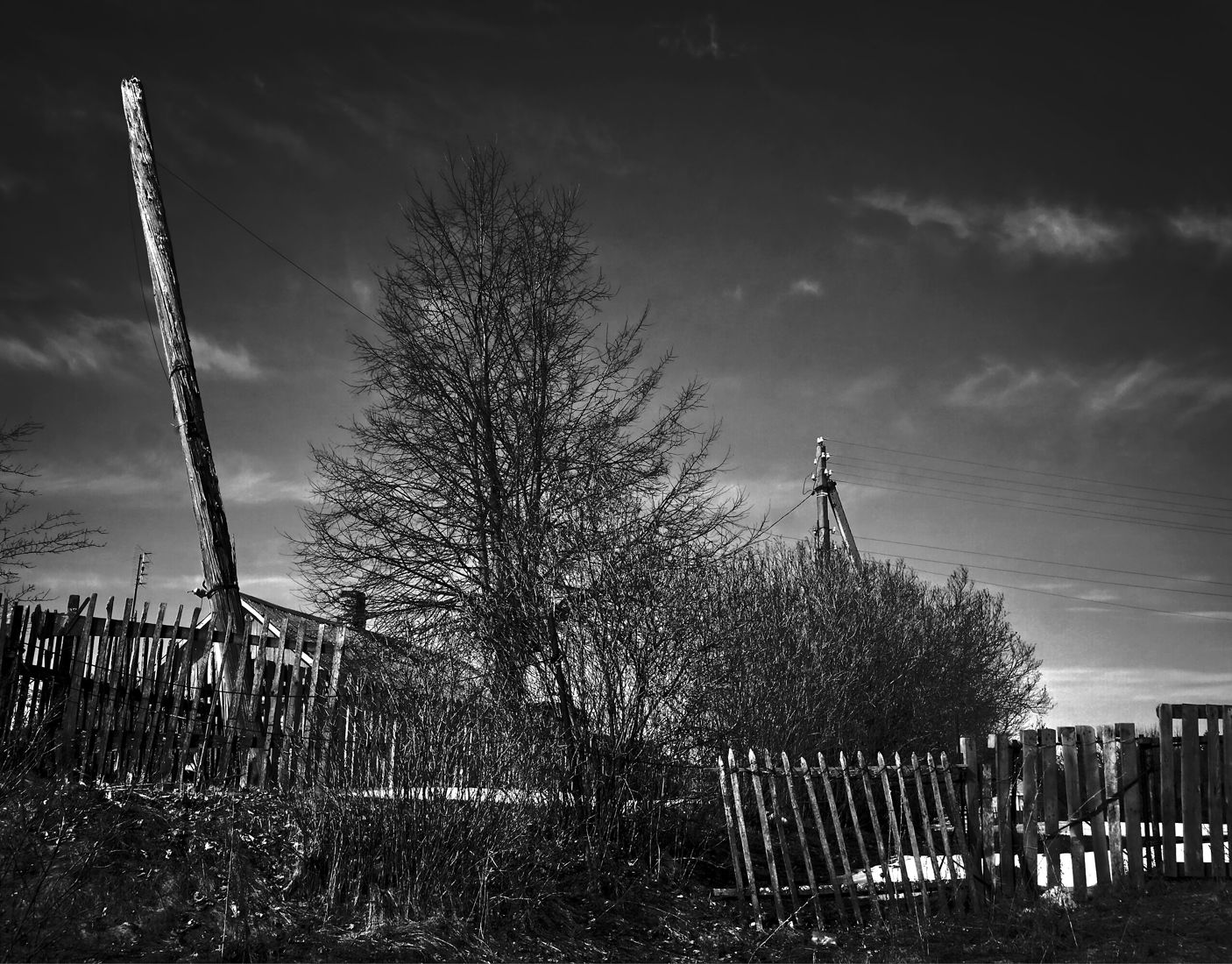 photographer alexey nazarov. landscape. Untitled photography, black and white, black and white photo