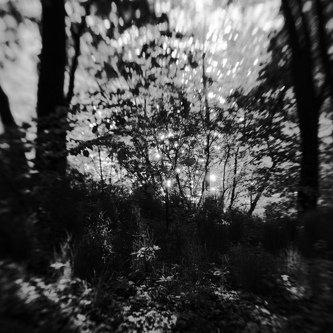 photographer alexey nazarov. landscape. Untitled photography, black and white, black and white photo
