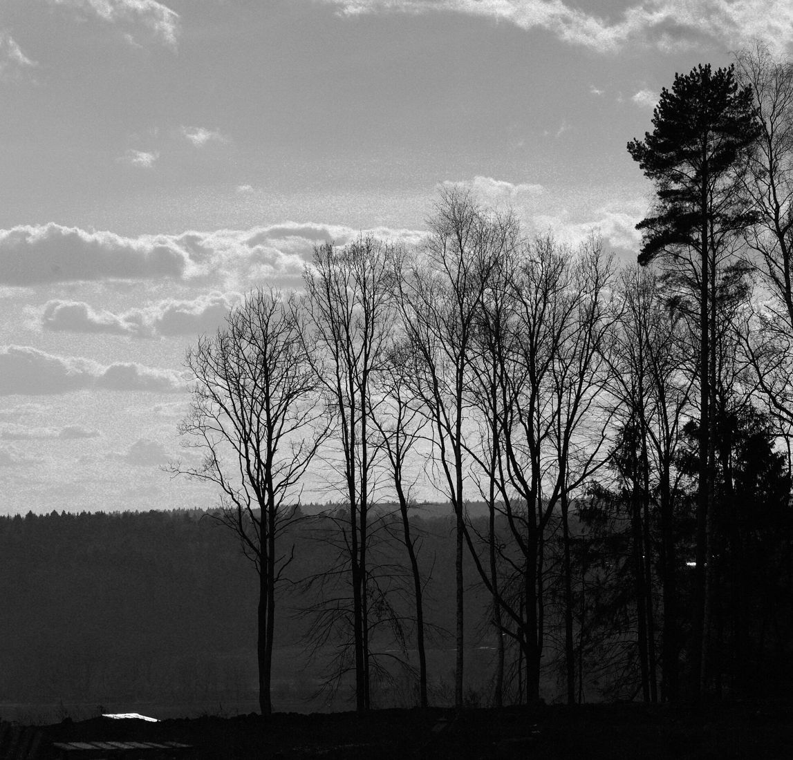 photographer alexey nazarov. landscape. Untitled photography, black and white, black and white photo