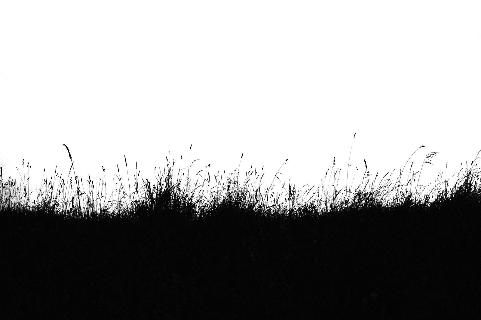 photographer alexey nazarov. landscape. Untitled photography, black and white, black and white photo