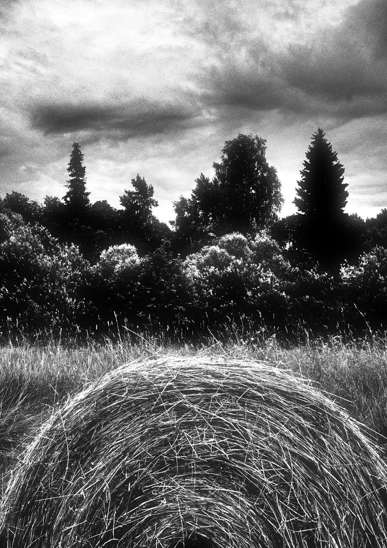 photographer alexey nazarov. landscape. Untitled photography, black and white, black and white photo
