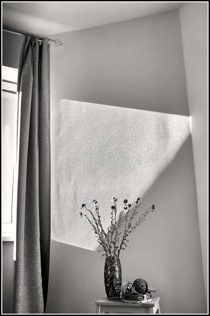 photographer alexey nazarov. natyurmort. still life, daisies, window, curtain, tambourine, maracas still life, daisies, window, curtain, tambourine, maracas